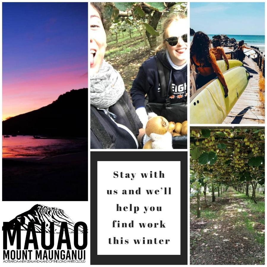 Mount Backpackers Hostel Mount Maunganui Luaran gambar